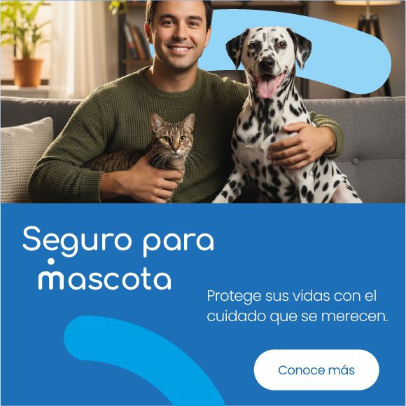 Seguro para mascotas