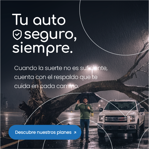 Seguro para vehículos